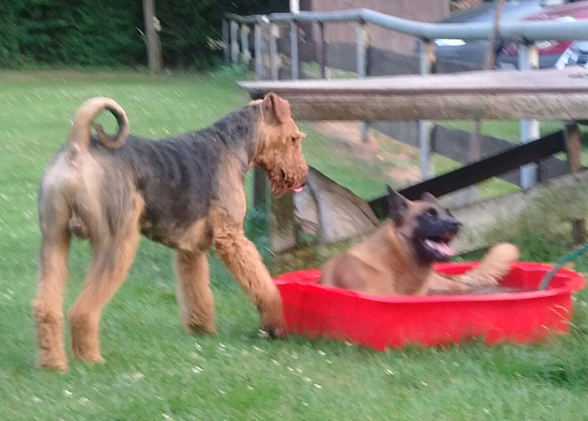 Na, wie schaut es aus ....?