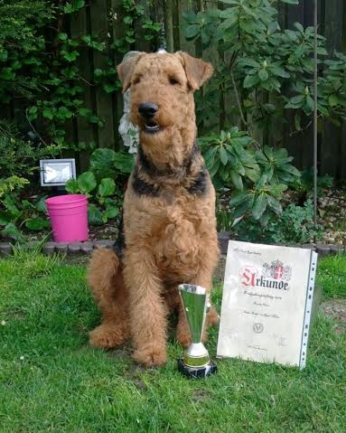 16.04.2016 Begleithundeprüfung bestanden